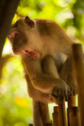 Similar image 21698751