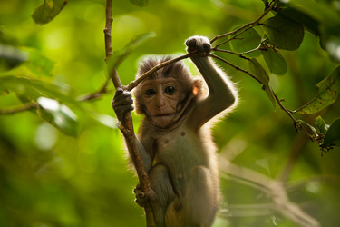 Similar image 21698752