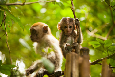 Similar image 21698753