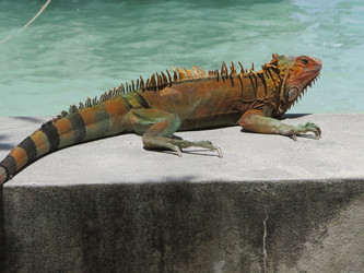 Similar image 21698754