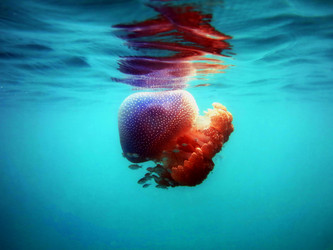 Similar image 21698771