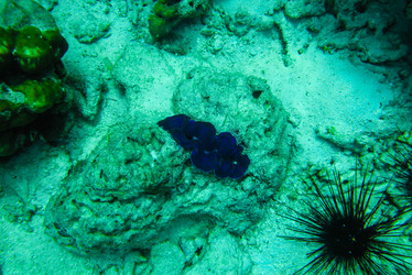 Similar image 21698772