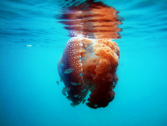 Similar image 21698773