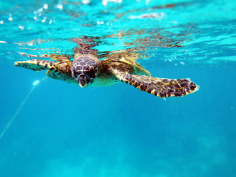 Similar image 21698775