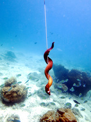 Similar image 21698776