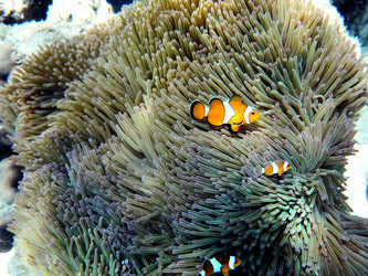 Similar image 21698779