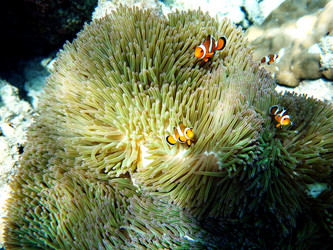 Similar image 21698781