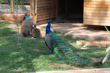 Similar image 21698798