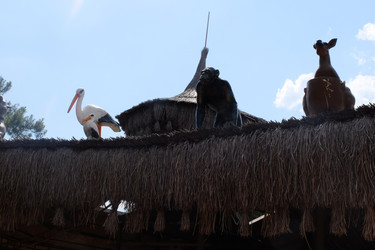 Similar image 21699759