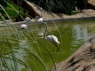 Similar image 21699760