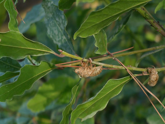 Similar image 21699761