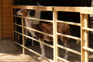 Similar image 21699764