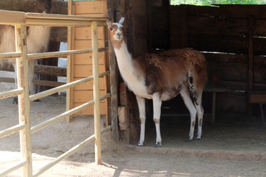 Similar image 21699767