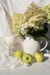 Similar image 21699768