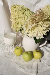 Similar image 21699769