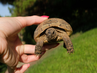 Similar image 21699770