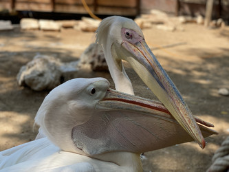 Similar image 21699771