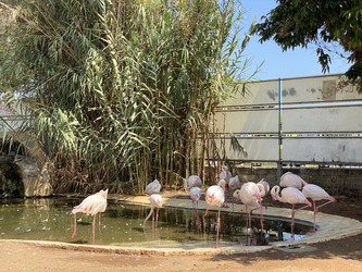 Similar image 21699774