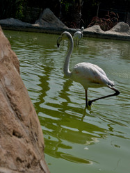 Similar image 21699775