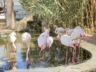 Similar image 21699778