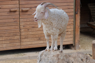 Similar image 21699779