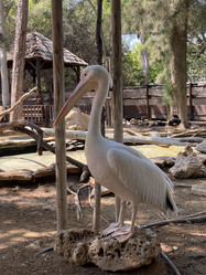 Similar image 21699780