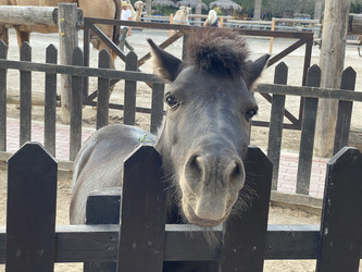 Similar image 21699781