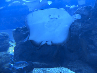 Similar image 21699784