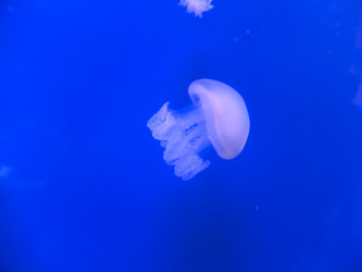 Similar image 21699786