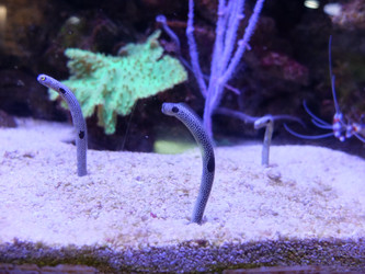 Similar image 21701622