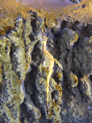 Similar image 21701625