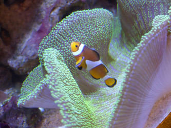 Similar image 21701626