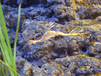 Similar image 21701627