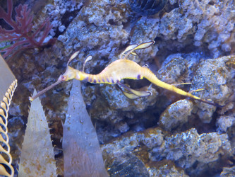 Similar image 21702641