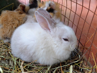 Similar image 21698732