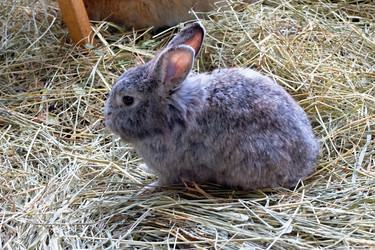 Similar image 21698733