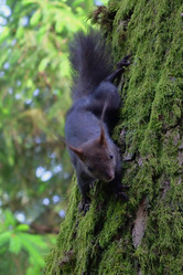 Similar image 21698758