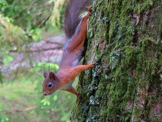 Similar image 21698759