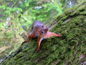 Similar image 21698760