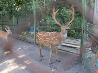 Similar image 21698785