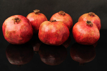 Similar image 21685969