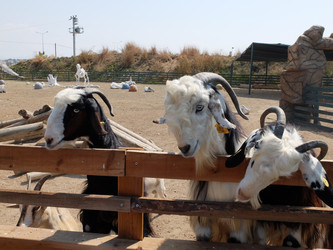 Similar image 21699789