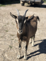 Similar image 21698711