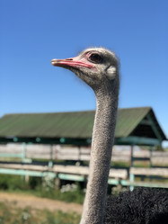 Similar image 21698712