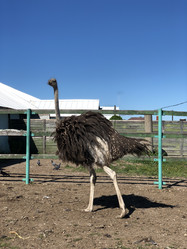 Similar image 21698734