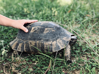 Similar image 21698736