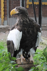 Similar image 21698604