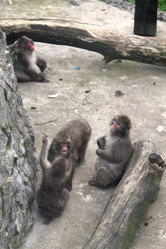 Similar image 21698715