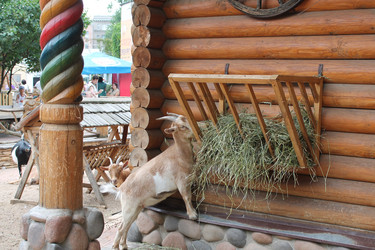 Similar image 21698716