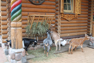 Similar image 21698717